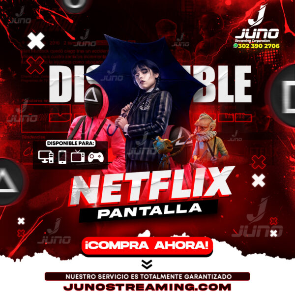 Netflix pantalla