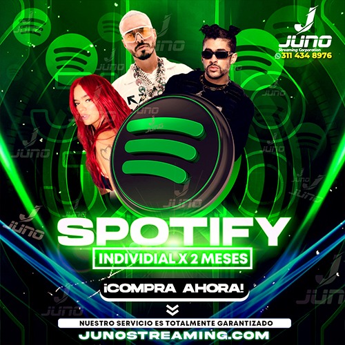 Spotify x1 mes